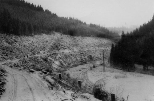 1961 Platz für Minenzaun_ freies Schußfeld_rechts Bahn und Straße nach Sattelgrund